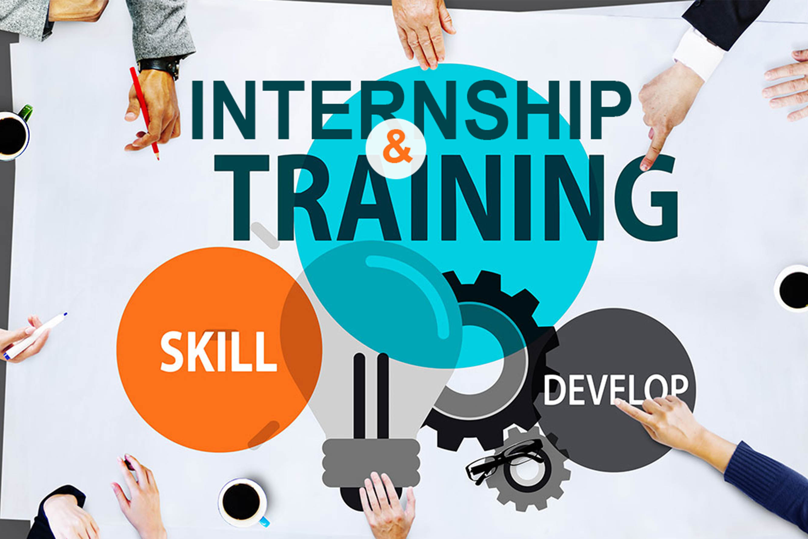 Training & Internship