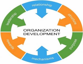 Organization development