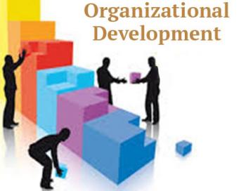 Organizational Development