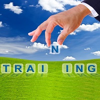 Training Services in Bangalore