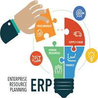 Implementing ERP Solutions