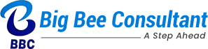 Big Bee Consultant