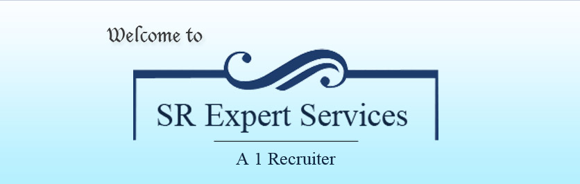 Professional Payroll Outsourcing In Delhi India Sr Expert Services