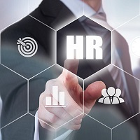 HR Consultancy in Noida