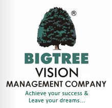 Bigtree Vision Management Company