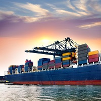 Export/ Import IT/ ITES