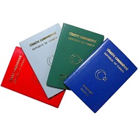 Visa/ Passport Consultant in Delhi