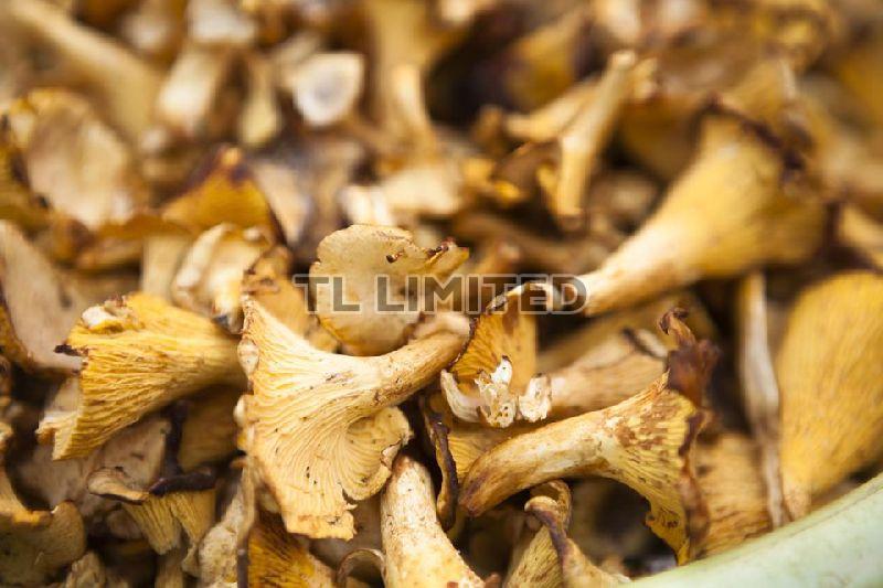 Add taste and texture to your food with dried brown Oyster Mushroom