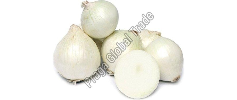 Fresh Organic White Onion: An impressive and Versatile Vegetable