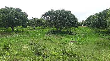 Considering tips to buy Farm Land for Sale in Dharwad