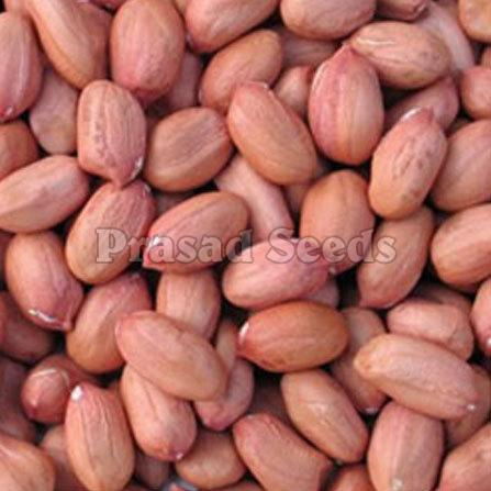Importance Of Organic Groundnut Kernels In Maintaining Health Of Heart