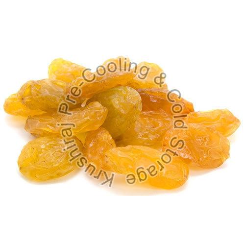 Amazing Health Benefits Supplied By Yellow Raisins Suppliers In India In Every Package