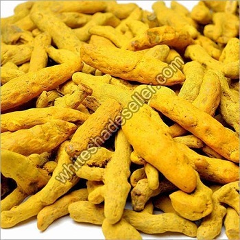 Benefits of Turmeric Powder and Fingers