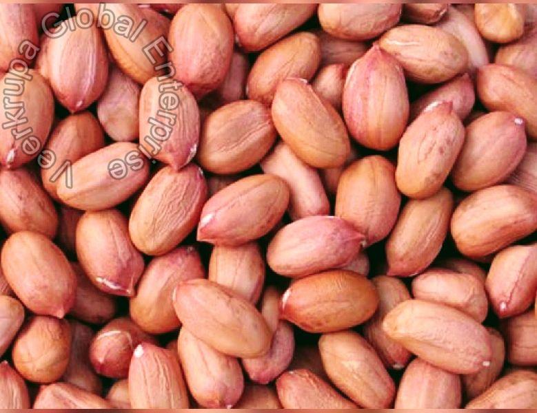 How should you choose an Authentic Groundnut Supplier?