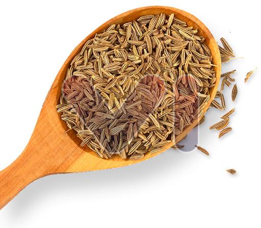 Top Important Indian Whole Spices for Cooking