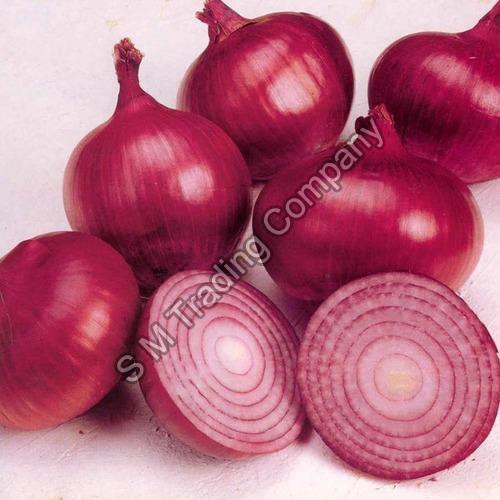 What Are The Benefits Of Onions?