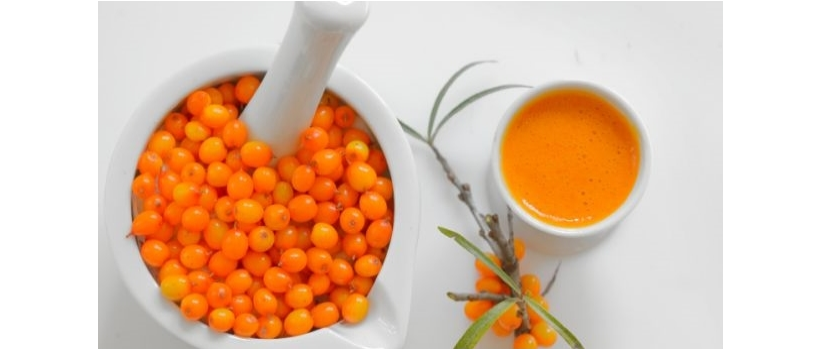 Sea buckthorn manufacturer in Rajasthan