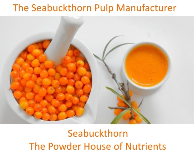 Ladakh Sea buckthorn Pulp manufacturer