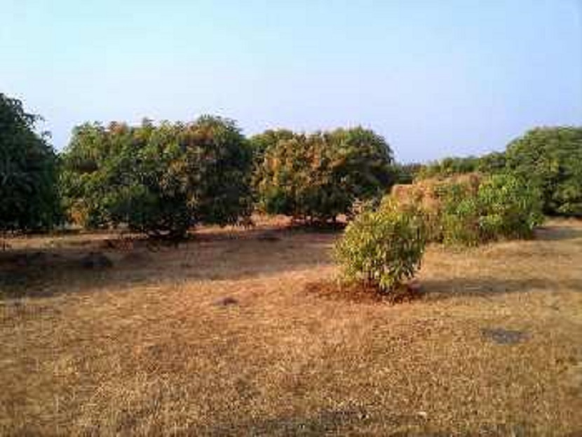 Huge Tracts Of Farm land Still Available In Ahmednagar In Maharashtra