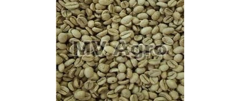 Monsoon Malabar Coffee as the Emerging Coffee Origin in Indian Market