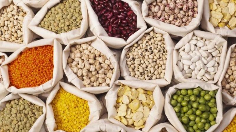 Why is Intake of Pulses Essential?