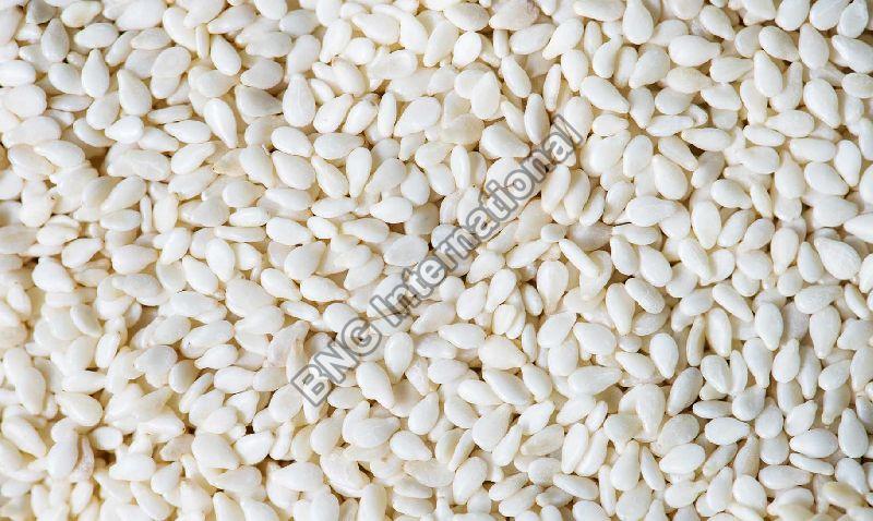 Natural white Sesame seeds are the powerhouse of energy