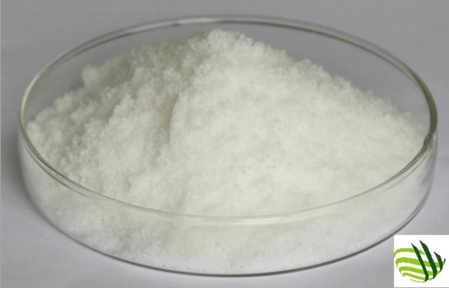 The Top Boons Of D-Alpha Tocopheryl Succinate