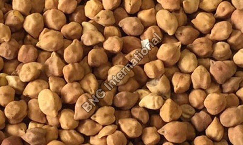 What are Desi Chickpeas?