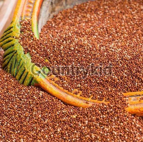 Five Reasons you should include Finger Millet Seeds in your Diet