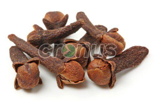 All You Need to Know About Clove Pods