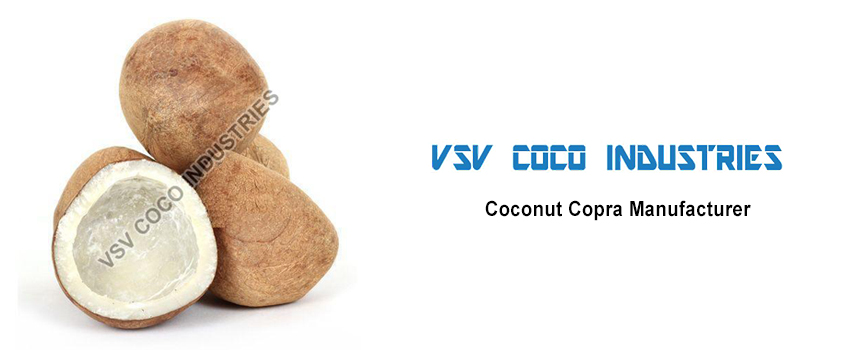 Important Things To Be Kept In Mind Before Choosing The Coconut Copra Manufacturers