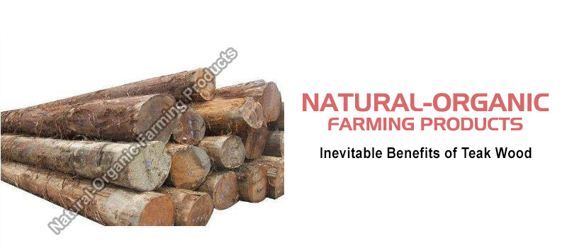 5 Inevitable Benefits of Teak Wood