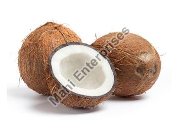 Find a good Fresh Coconut Supplier in Jaipur