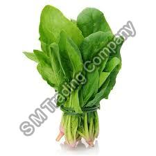 Spinach Suppliers India – Supplying the Best and Fresh Vegetable