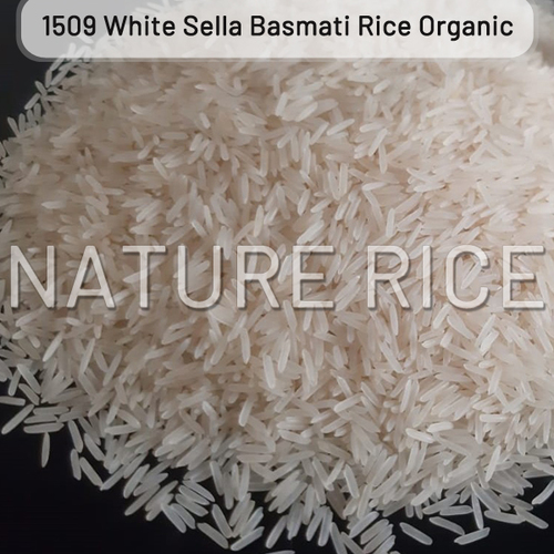 1509 White Sella Basmati Rice Supplier offers the most flavourful rice in India
