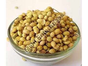 What Are The Benefits Of Coriander Seeds?