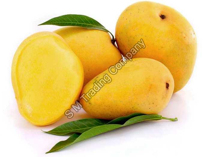 Know The Exquisiteness Of Amrapali Mango- The Fruit Of Summer