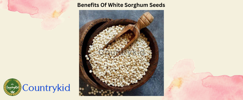 Top Five Benefits of White Sorghum Seeds that can Prevent Cancer and Diabetes