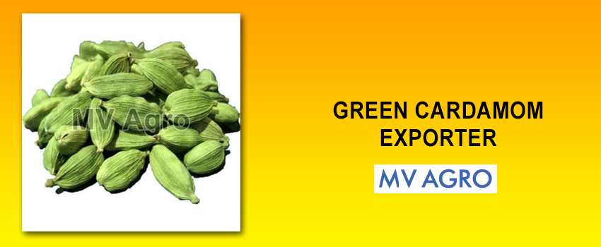 Whole Green Cardamom Exporter – Supplying Bulk Quality All Over World