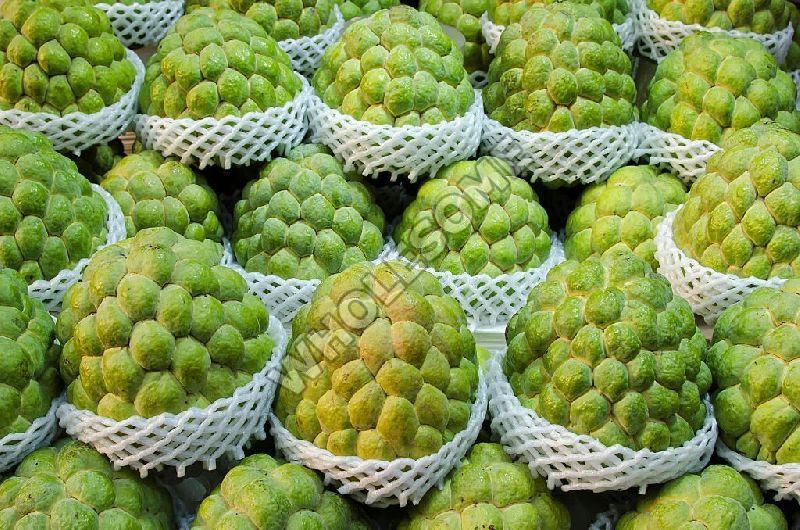 Fresh Custard Apple Exporter – Get the Delivery of the Quality Products