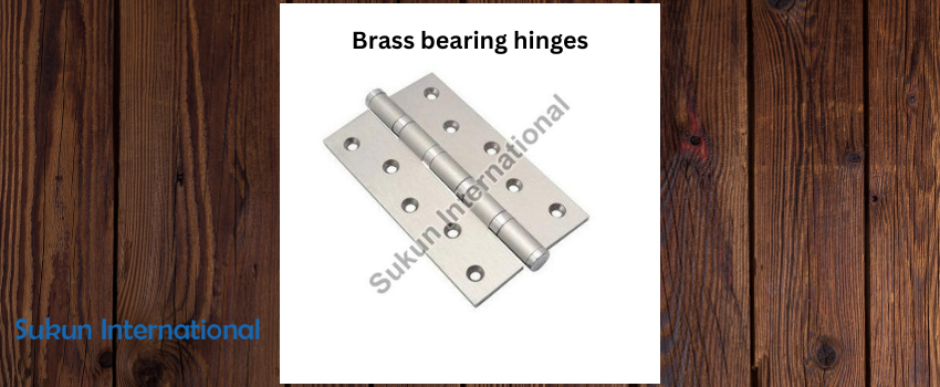 Things You Must Know About Brass Bearing Hinges