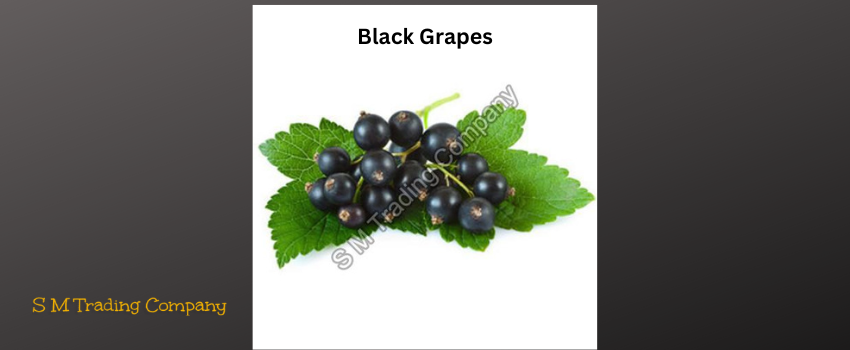 A Mid-day Treat With a Bunch Of Black Grapes