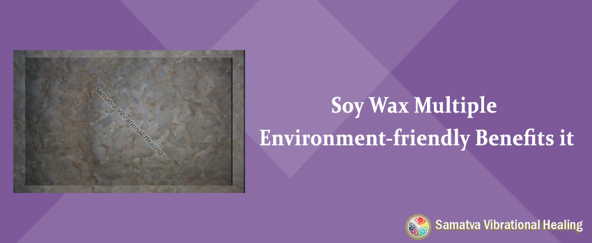 Soy Wax Exporters – Multiple environment-friendly benefits of it