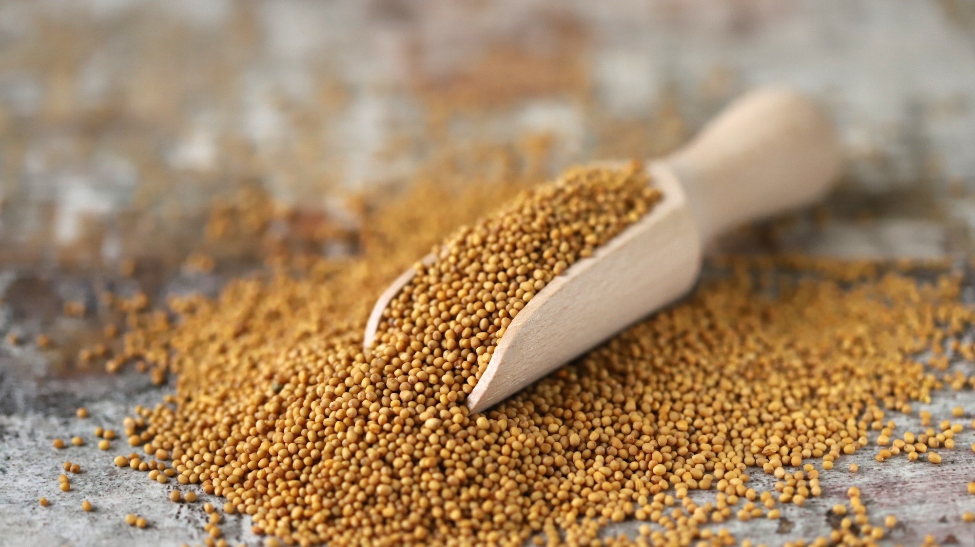 How should you Choose Quality Mustard Seeds?