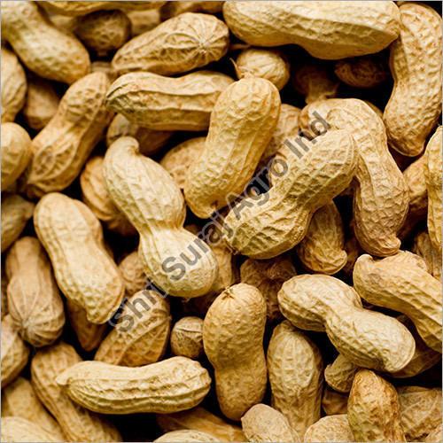 Shelled Groundnut – An End to End Guide