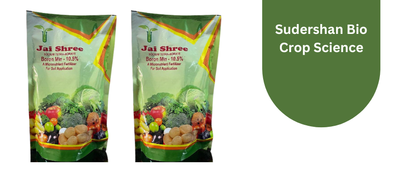 Micronutrient Fertilizer Manufacturer in Delhi – Find the Best Nutrients for your Plants/fields
