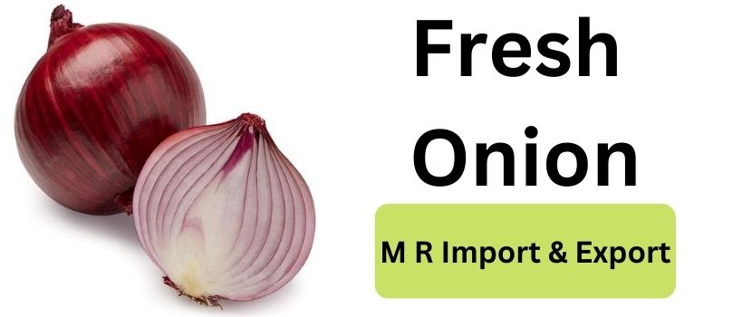 Health Benefits of Having Onion