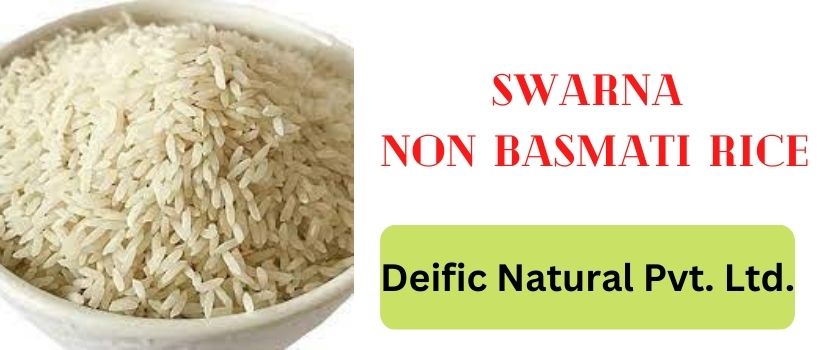 Different Types of Non Basmati Rice