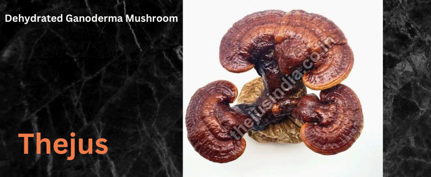 Multiple Benefits of Dehydrated Ganoderma Mushroom