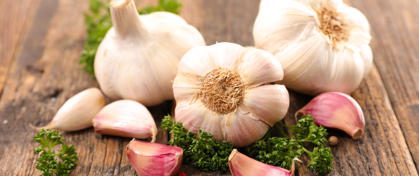 Garlic- A wonder Herb